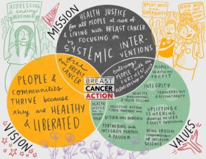 Breast Cancer Action's illustrated Mission, Vision, and Values